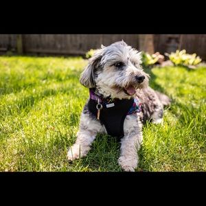 Meet your Posher, Christopher